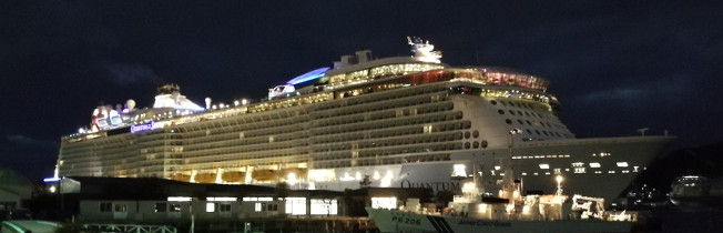 Quantum of the Seas - Night view